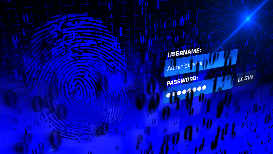 How Malicious Hackers Use Stolen Logins